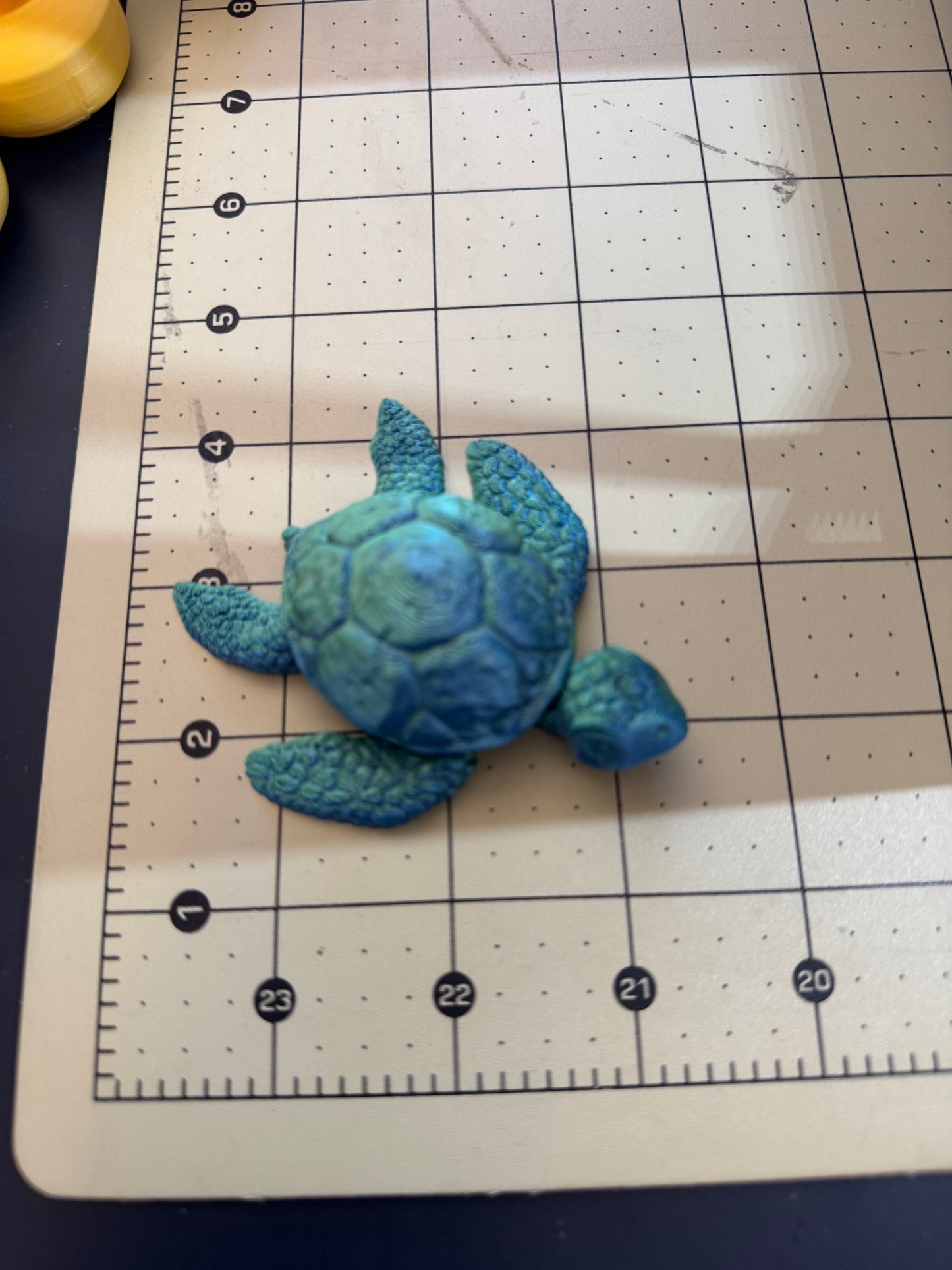 Giant 3-D Turtle